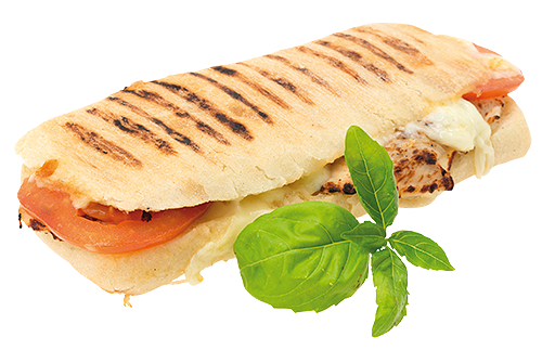 Panini